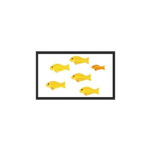 Illustration of five yellow fish and one orange fish in a black frame.