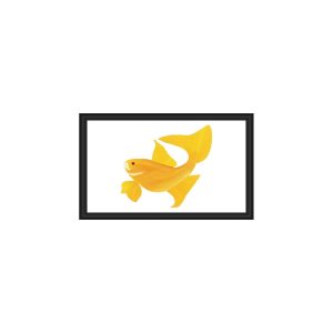 Two yellow fish swimming inside a black-framed aquarium.