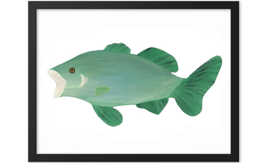 Illustration of a green largemouth bass fish.