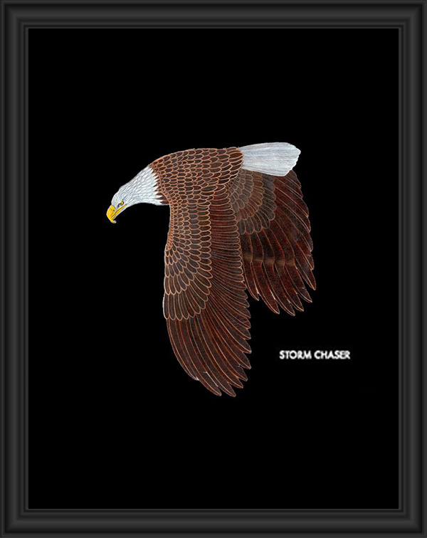 Illustration of a soaring bald eagle with detailed feathers and a sharp beak.