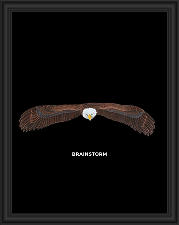 An eagle with wings spread wide and a speech bubble, titled BRAINSTORM.