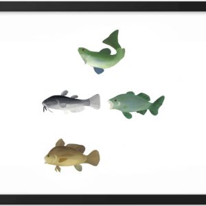 Illustration of five different fish species in various colors and shapes.
