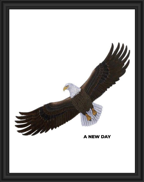 Bald eagle soaring with the caption 'A NEW DAY'.