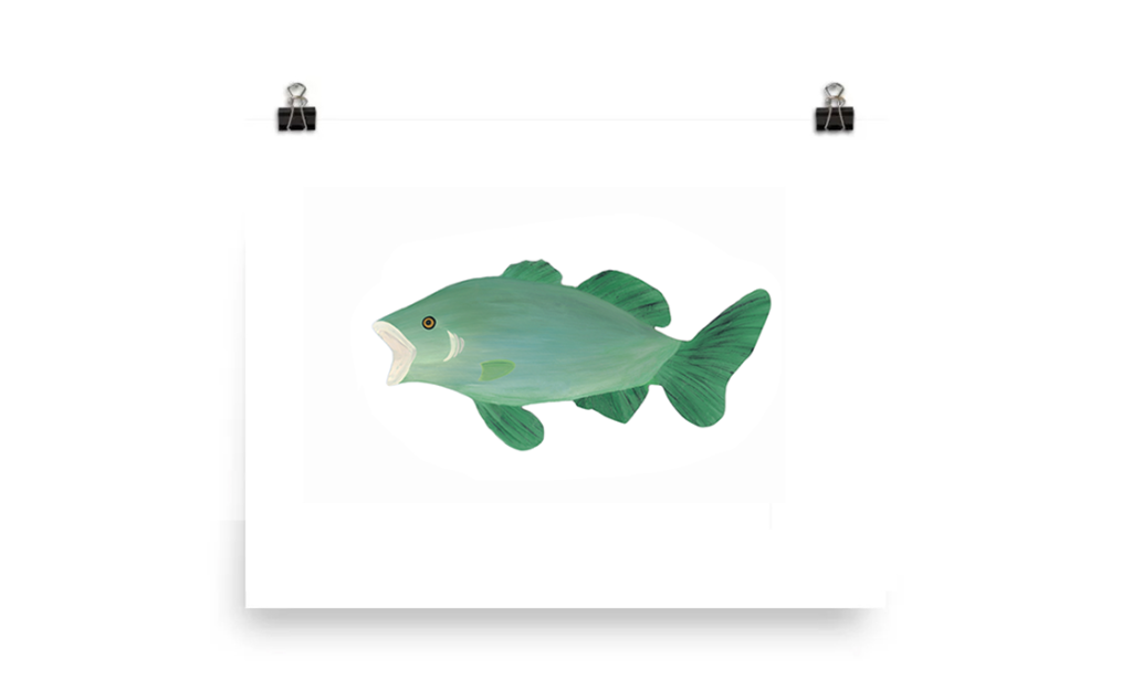 Illustration of a green fish with a rounded tail.