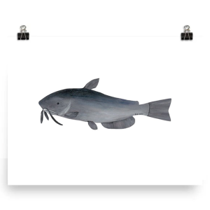 A detailed illustration of a catfish with whiskers and fins.