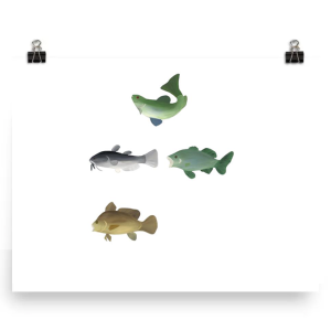 Illustration of four different fish species on a white background.