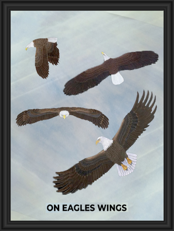Four bald eagles in flight against a clear sky.