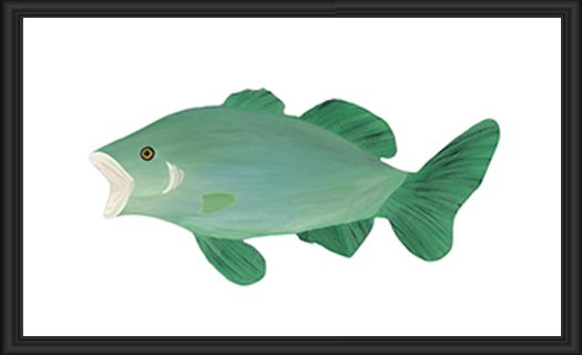 Illustration of a green fish with fins and tail.