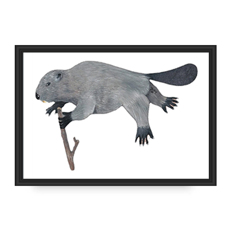 Framed digital illustration of a platypus on a white background.