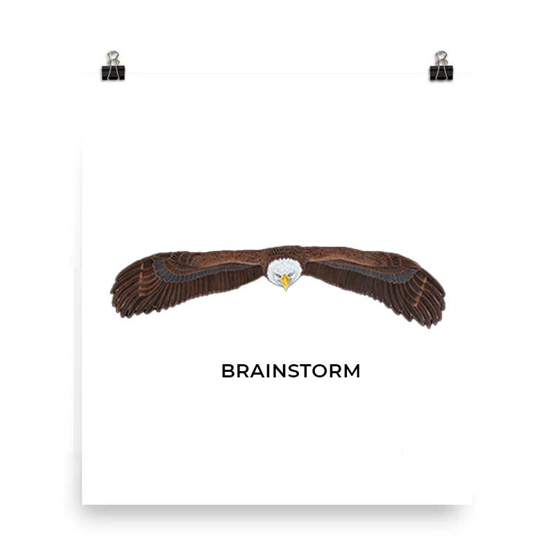 Eagle wings forming a brain shape with the word 'BRAINSTORM'.