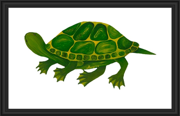 Illustration of a green turtle with a detailed shell and limbs.