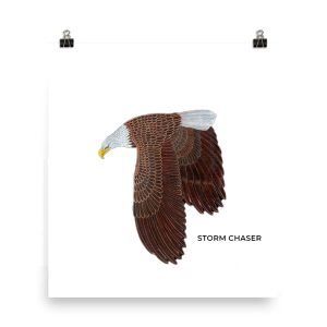 Side view illustration of a brown eagle in flight with 'STORM CHASER' text.
