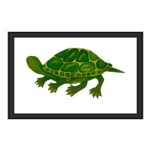 Illustration of a green turtle in a black frame.