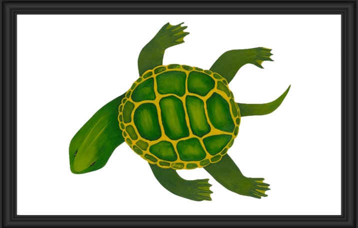 Illustration of a green turtle with a patterned shell swimming.