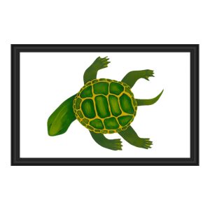 Illustration of a green turtle swimming inside a black frame.