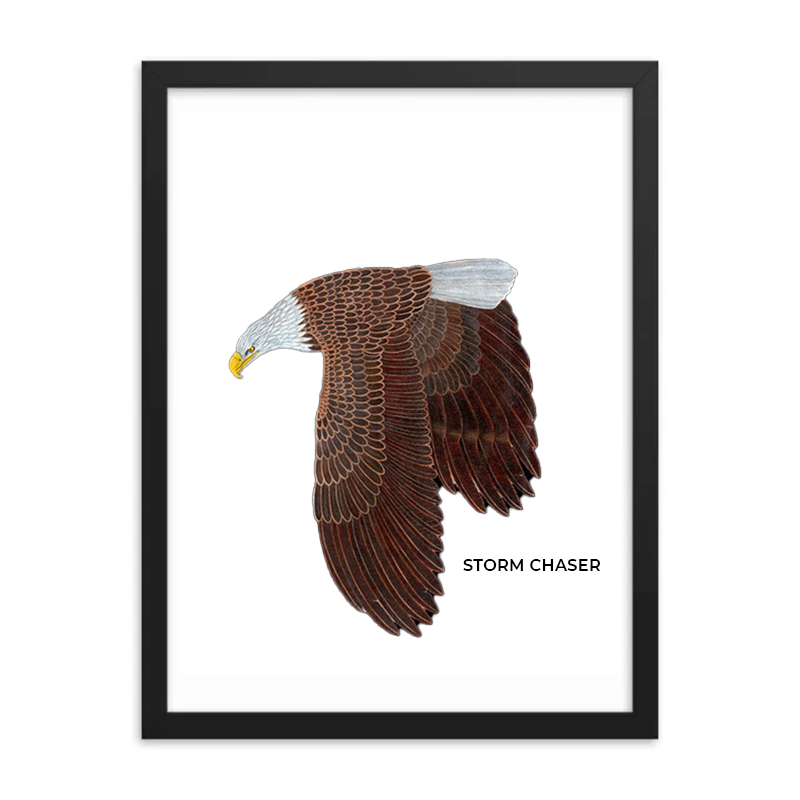 Illustration of a bald eagle in flight with detailed feathers.