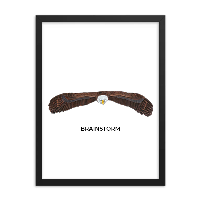 Eagle wings spread above the word 'BRAINSTORM' in a minimalist frame.