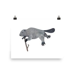 Illustration of a platypus holding a twig in its mouth.