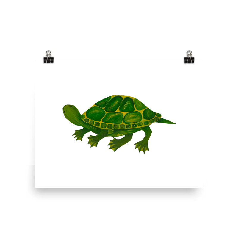 Illustration of a green turtle with detailed shell patterns.
