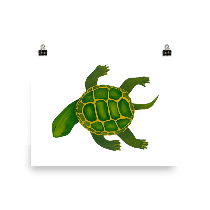 Illustration of a green sea turtle swimming.
