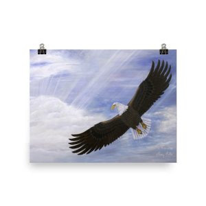 A bald eagle soaring in a blue sky with scattered clouds.