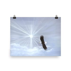 An eagle soaring beneath a radiant sunburst in the sky.