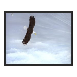 A bald eagle soaring high above the clouds in a clear sky.